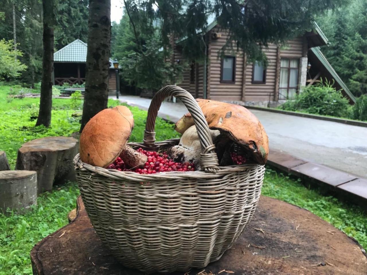 Лісовий Маєток Slavske Ngoại thất bức ảnh